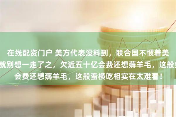在线配资门户 美方代表没料到，联合国不惯着美国了，会费不缴清，就别想一走了之，欠近五十亿会费还想薅羊毛，这般蛮横吃相实在太难看！