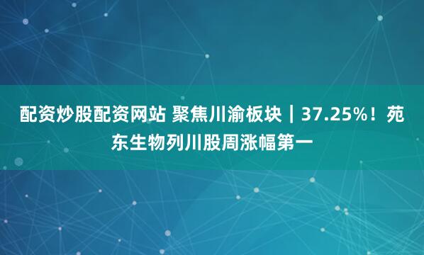 配资炒股配资网站 聚焦川渝板块｜37.25%！苑东生物列川股周涨幅第一